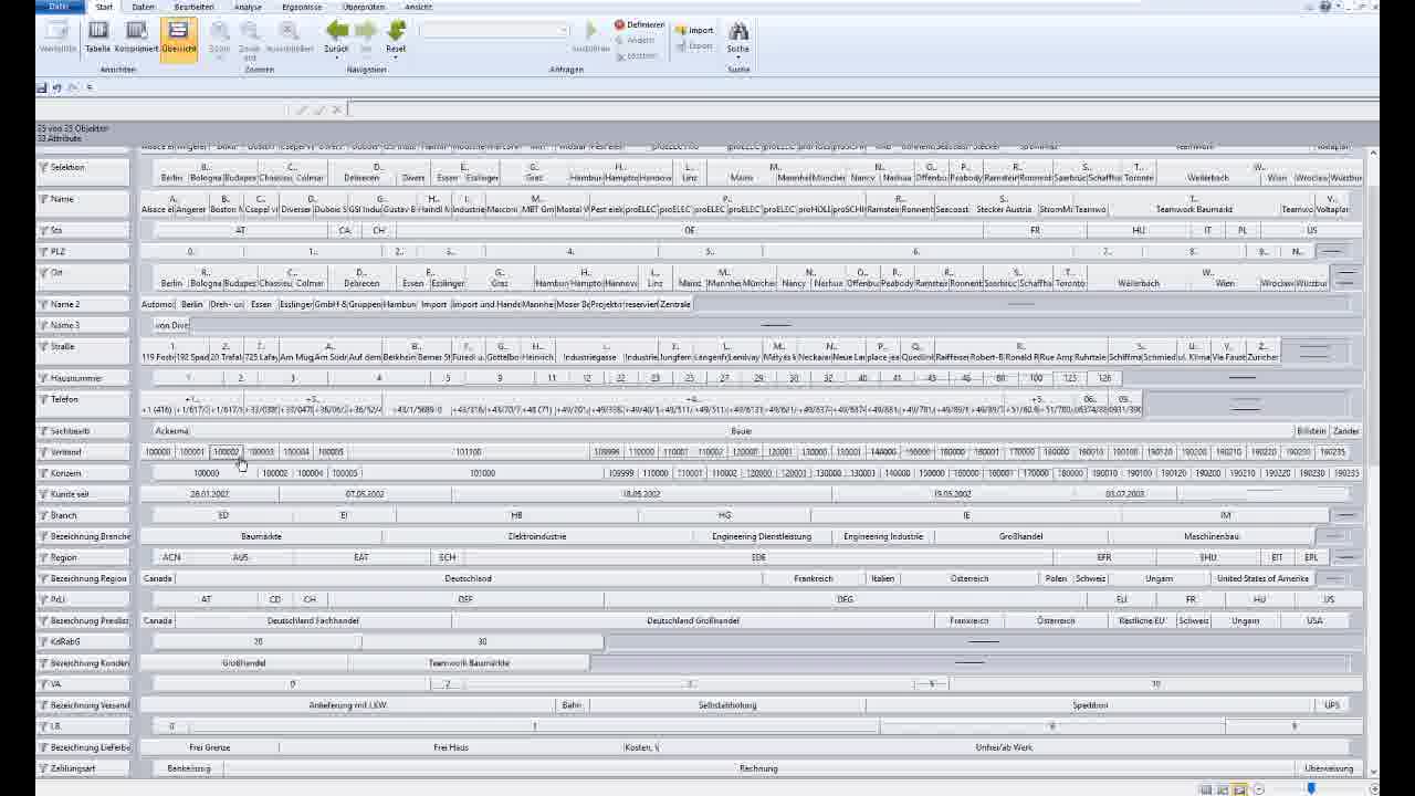 Icon VMS
