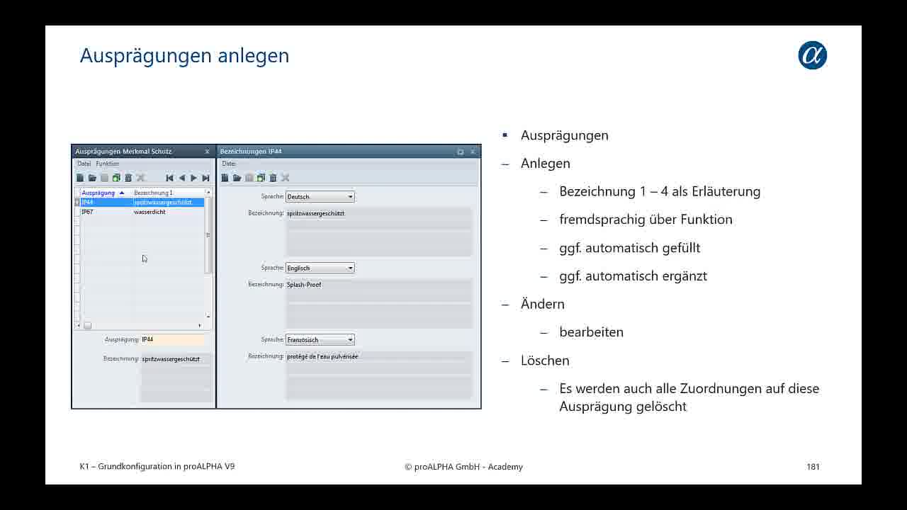 Icon VMS